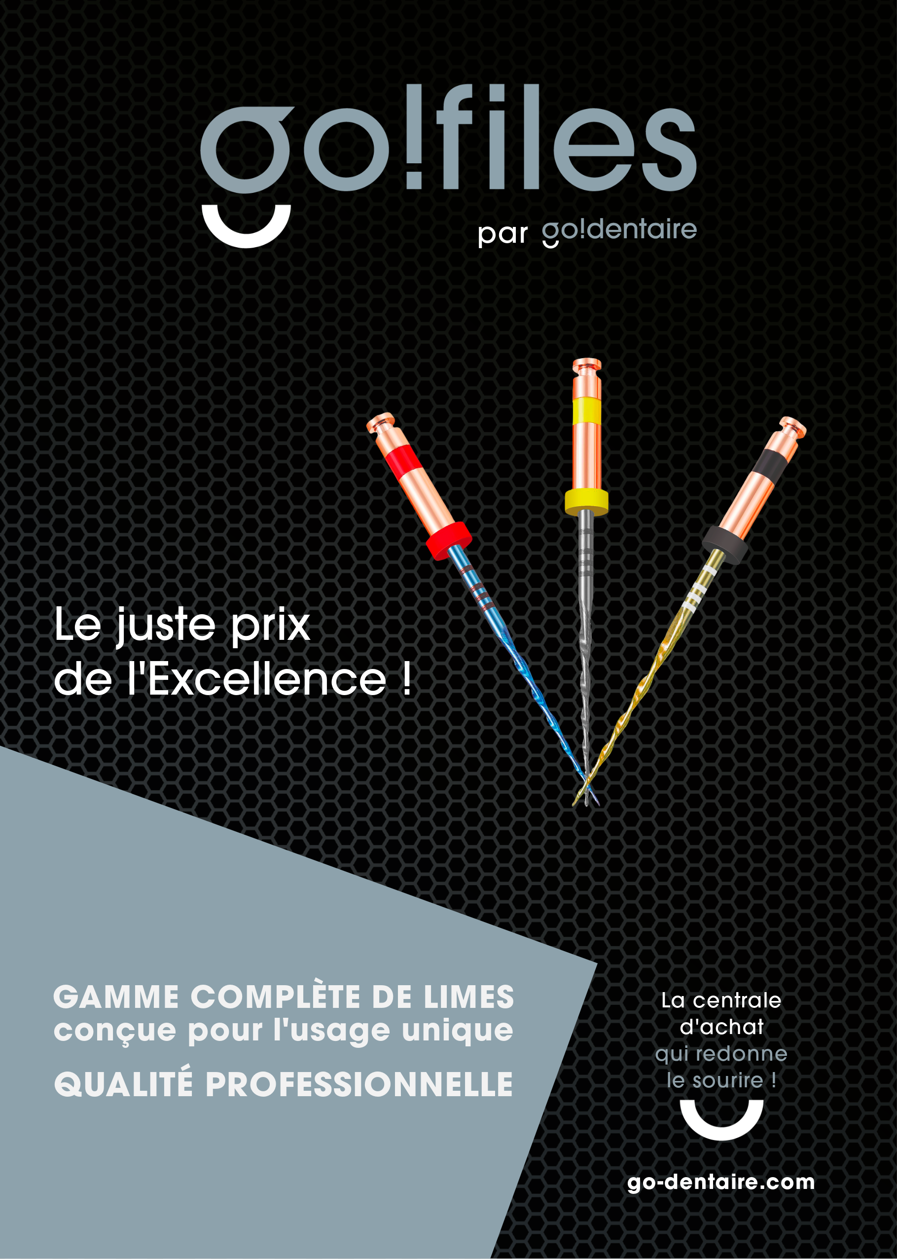 Catalogue Go!files